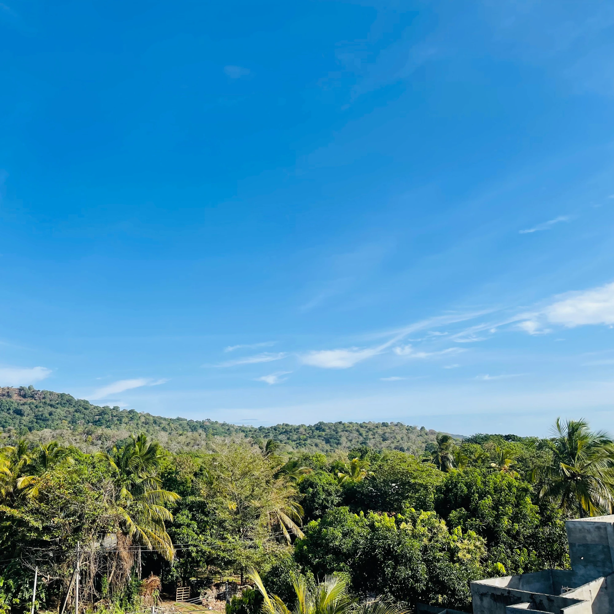 Panorama 16