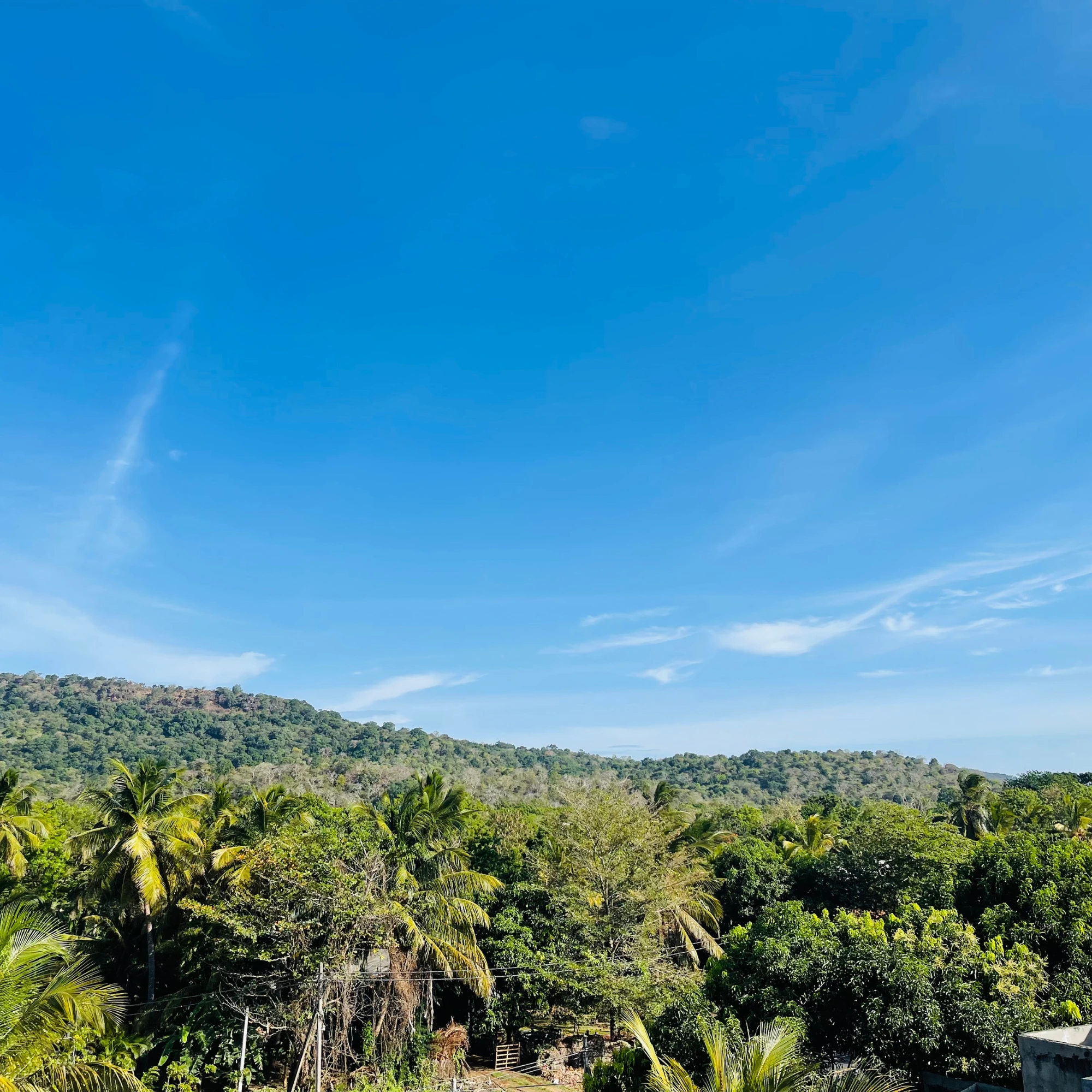 Panorama 19